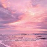 Zahid Mirza کے جائزے کے لئے صارف تصویر